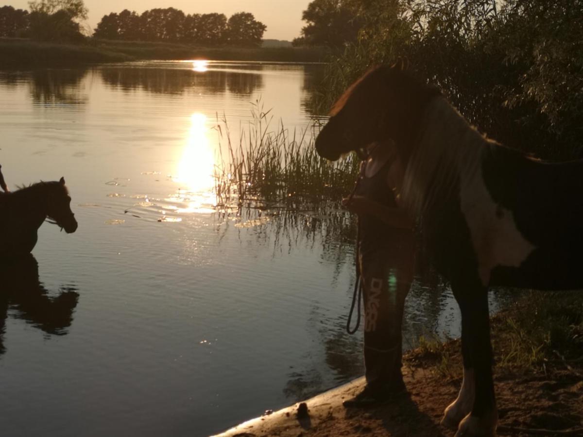 Ferienwohnung Czampiel Havelberg Esterno foto